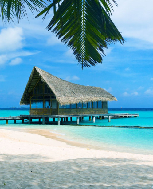 Vacation Rentals in Hawaii, Mexico and the Caribbean - Latitude21Resorts